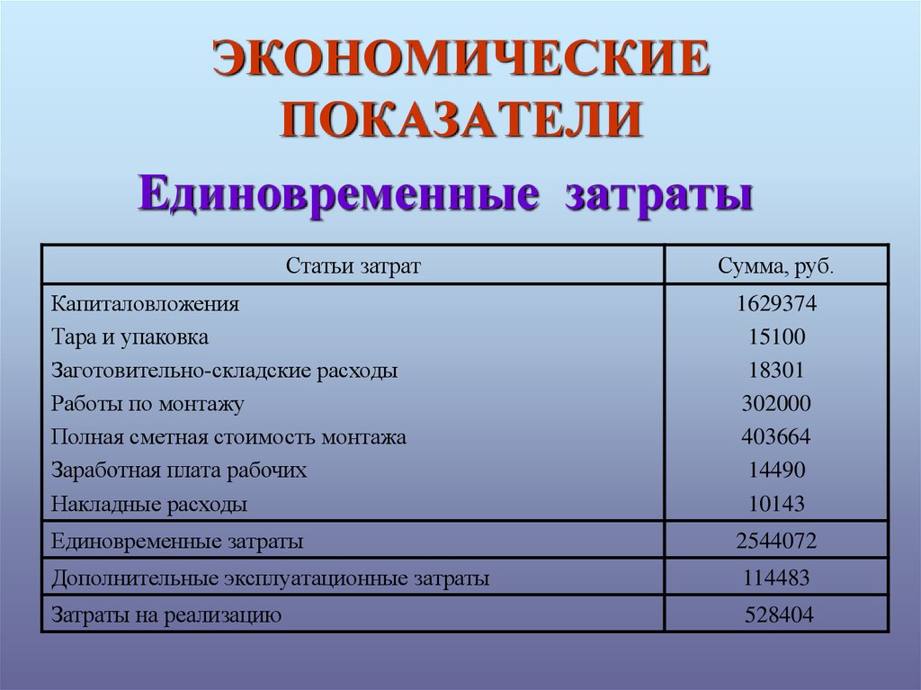 Сумма единовременных затрат на осуществление бизнес проекта не включает