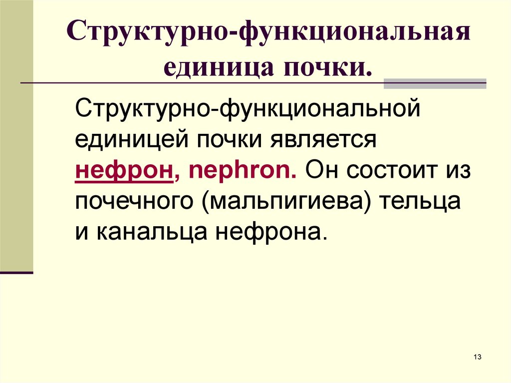 13. Структурно – функциональной единицей почек является?. Структурно-функциональной единицей при воспалении является. Что является основной функциональной единицей почки ответ обоснуйте.