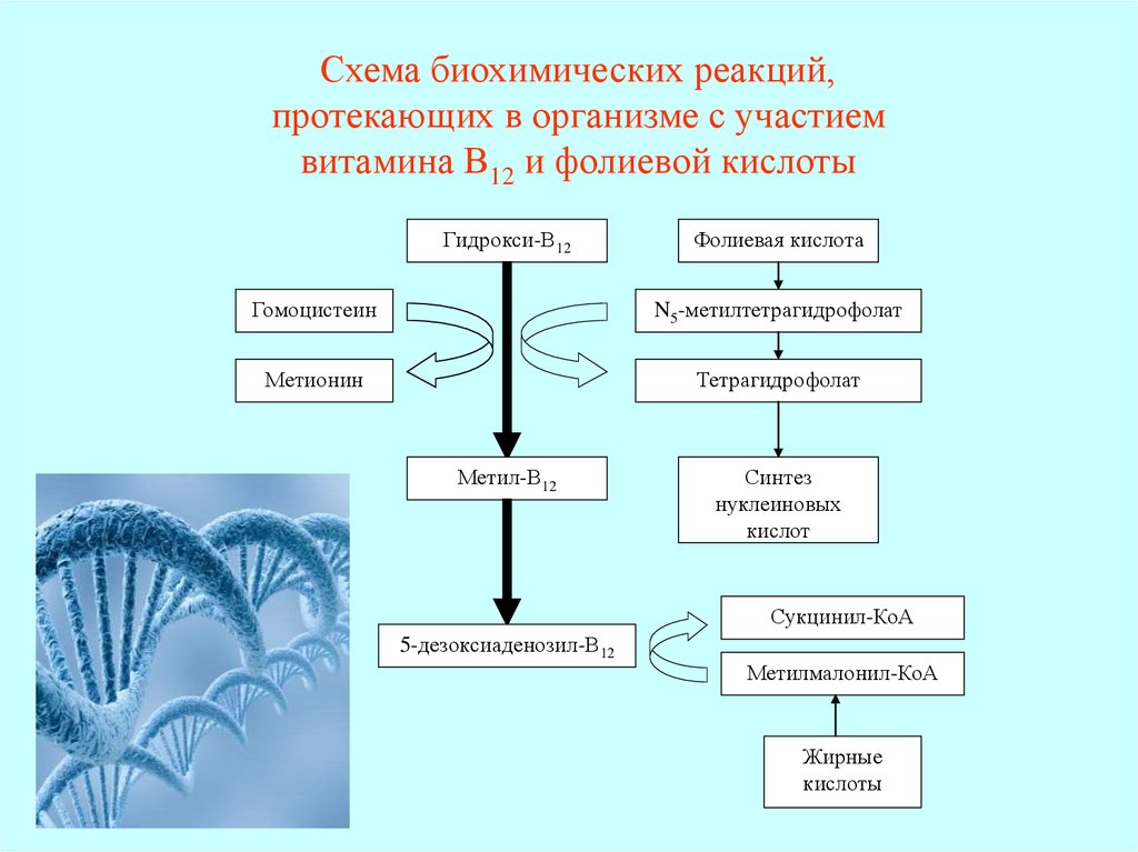 Биохимическая изменение организма