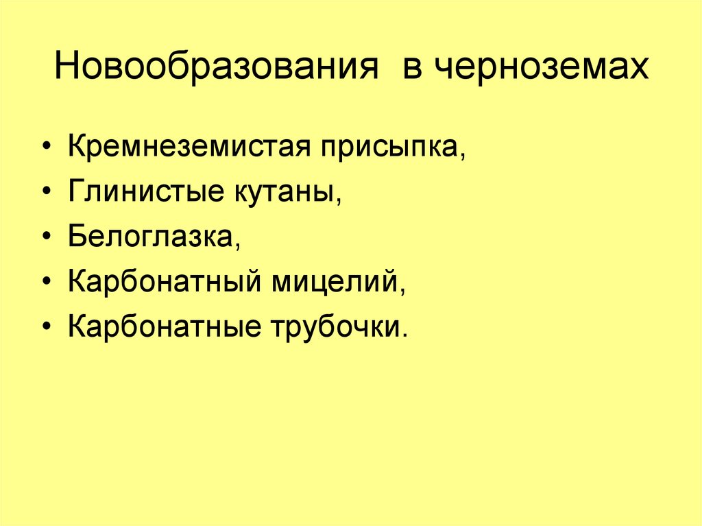 Новообразования в черноземах