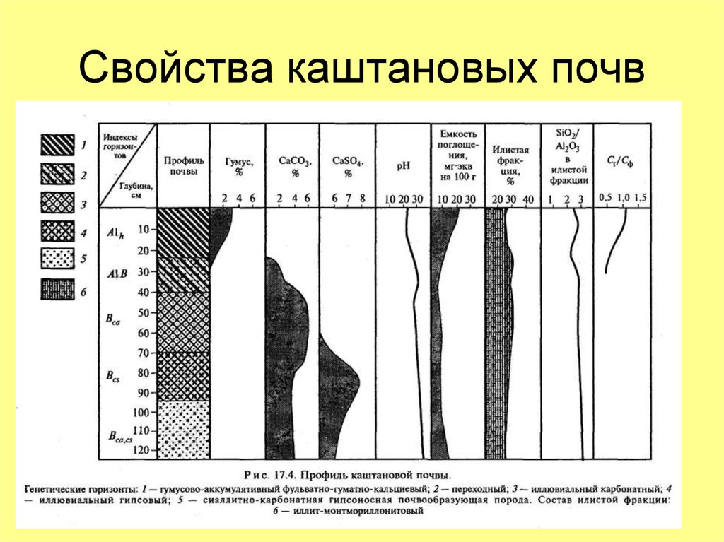 Каштановые почвы схема