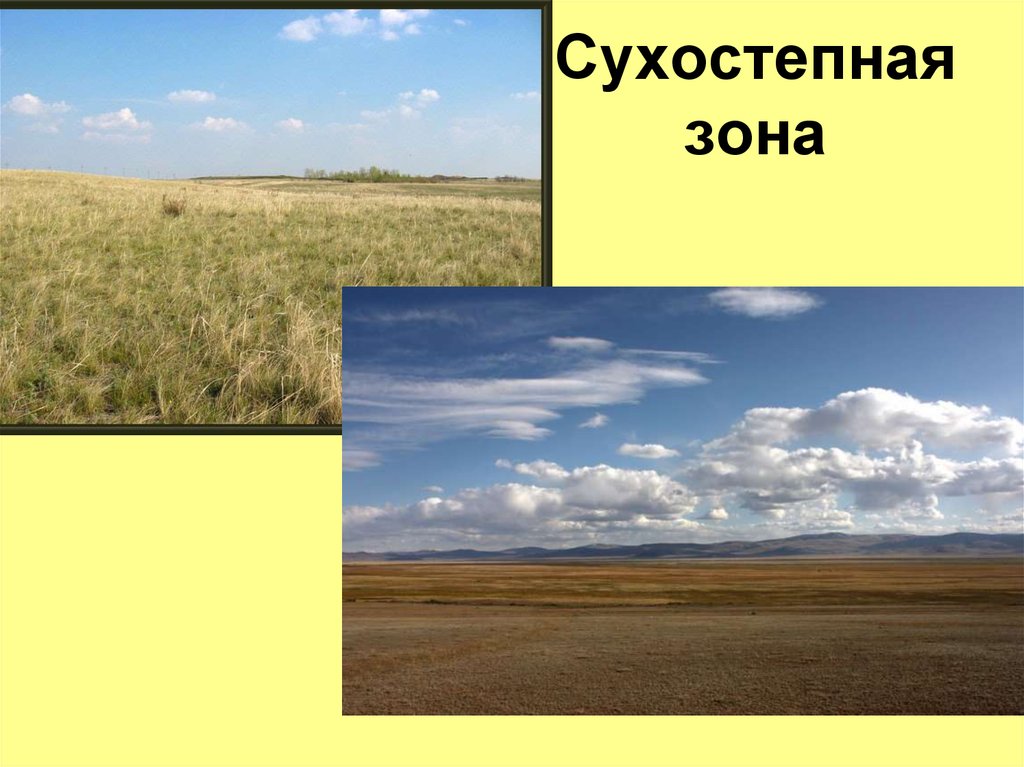 Сухостепная зона