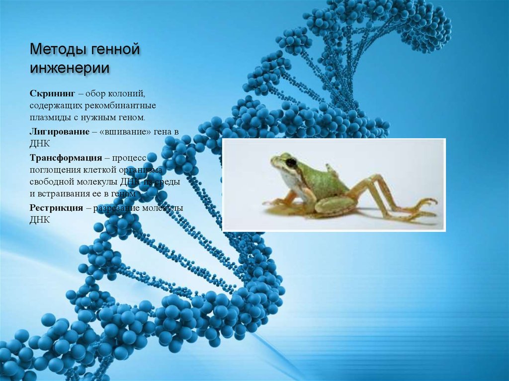 Методы генной инженерии. Геномная инженерия методы. Методы генетической инженерии. Генетическая (генная) инженерия методы.