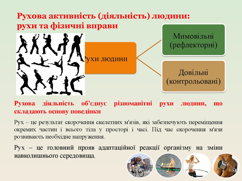 Рухова активність (діяльність) людини: рухи та фізичні вправи