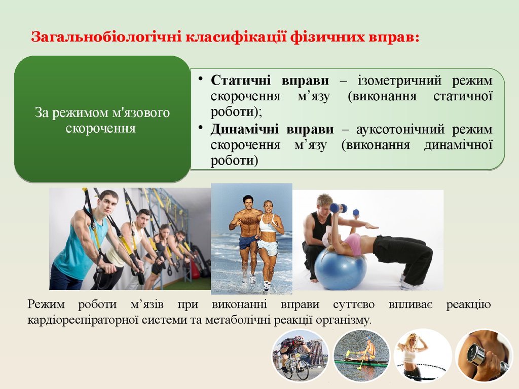 Загальнобіологічні класифікації фізичних вправ: