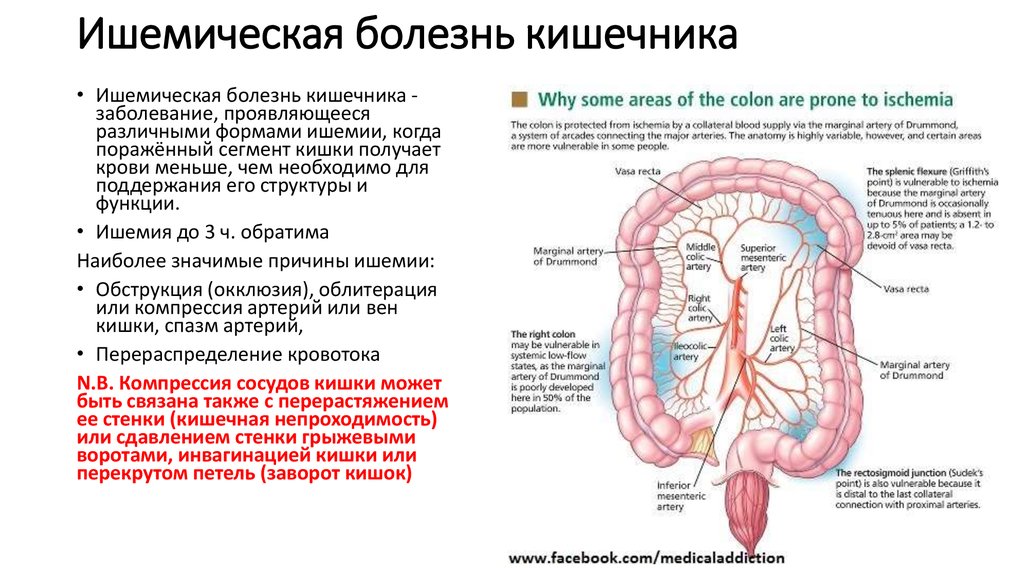 Сосудистый рисунок усилен в кишечнике что это