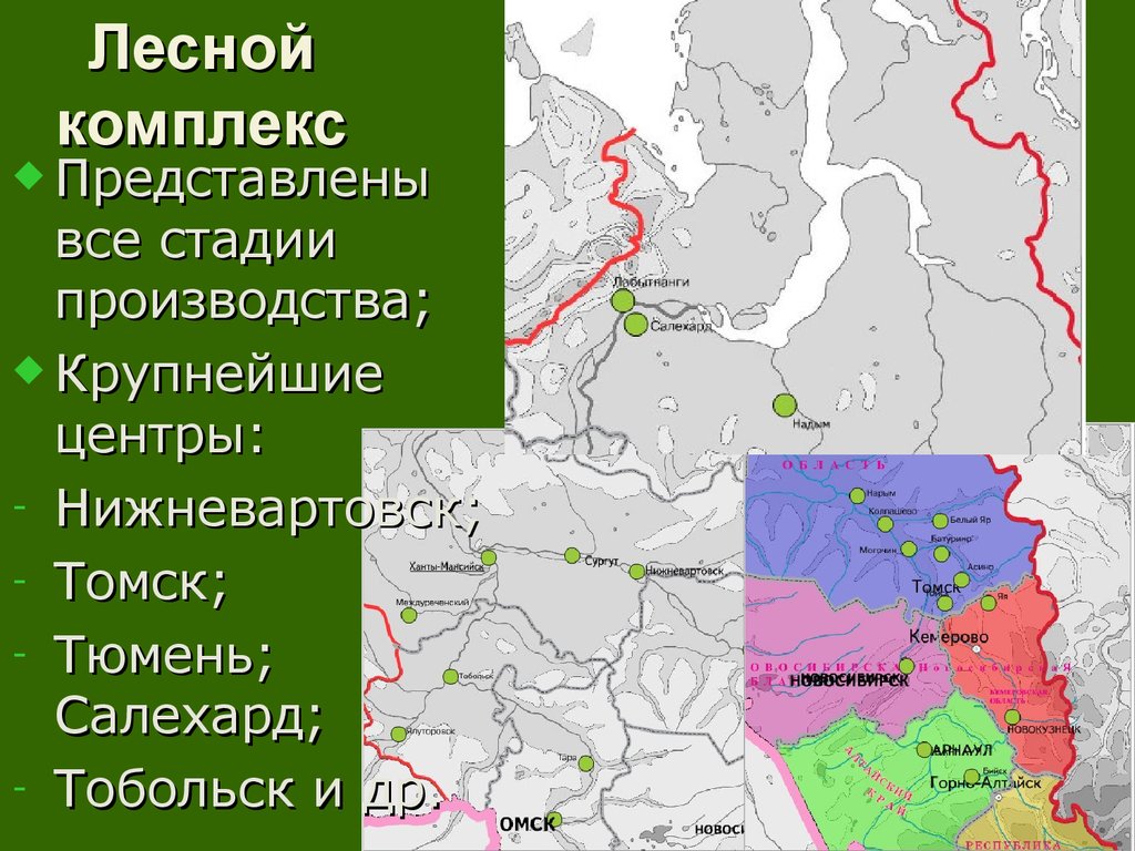 Восточная сибирь промышленность центры. Западно-Сибирский экономический район крупнейшие центры. Западно-Сибирский экономический район леса. Центры Лесной промышленности в Западной Сибири. Экономический район Западной Сибири Лесная промышленность.