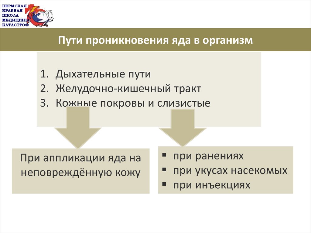 Пути проникновения. Пути проникновения ов в организм. Пути проникновения ядов. Пути проникновения отравляющих веществ в организм человека. Пути проникновения сильнодействующих ядовитых веществ в организм.