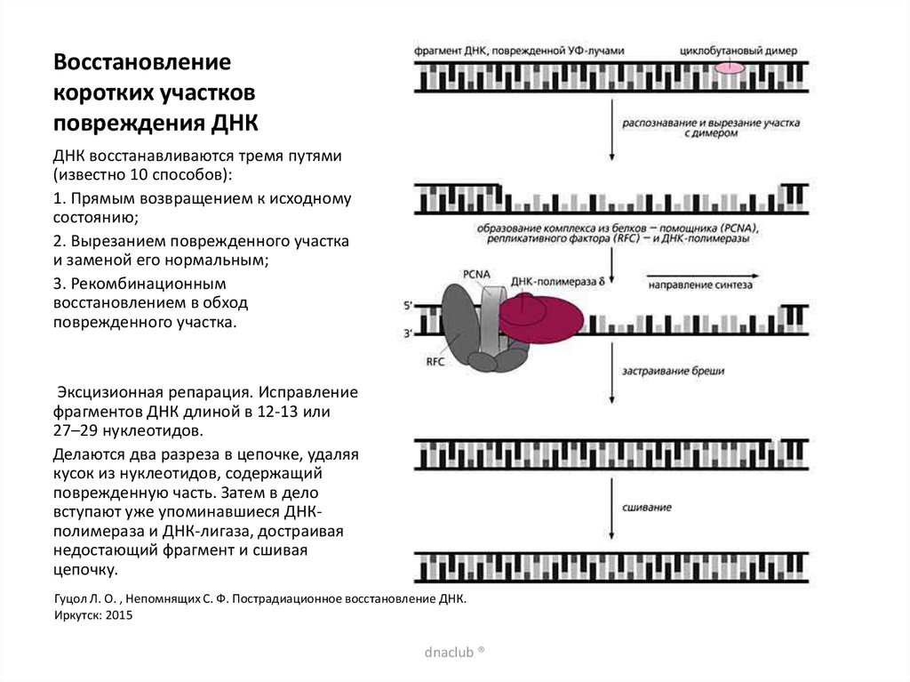 Восстановление повреждений