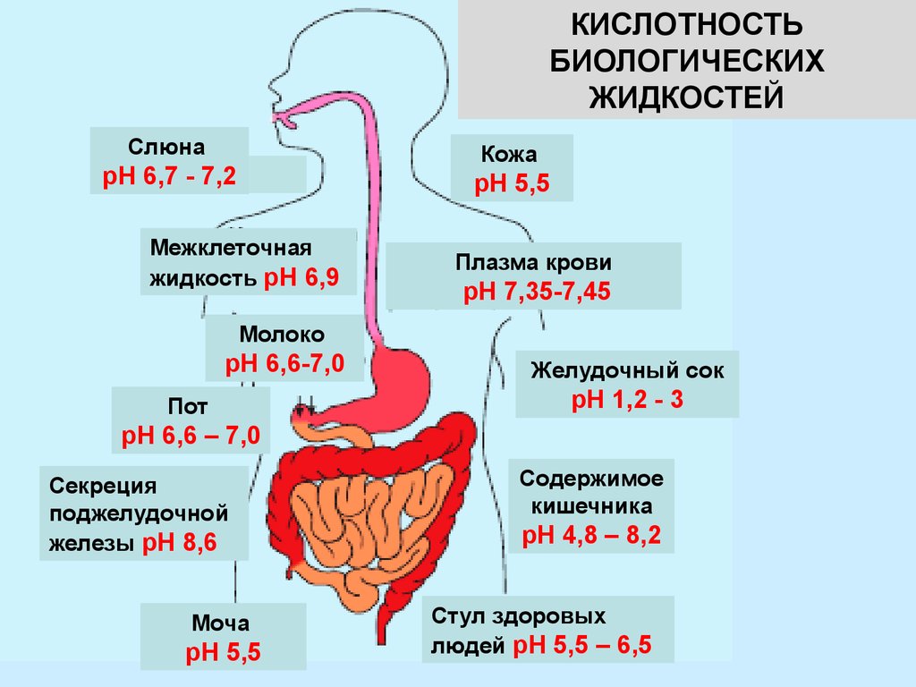 Приятного переваривания картинки