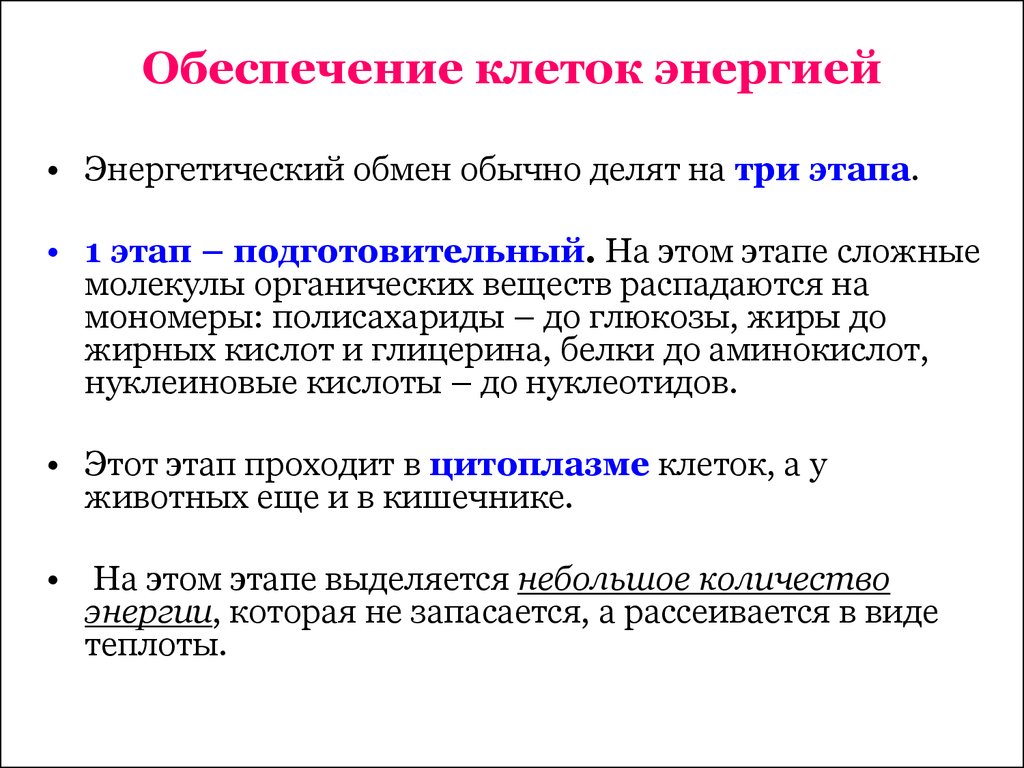 Пути образования энергии в клетке презентация