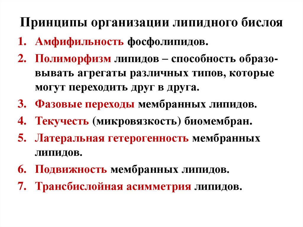 Свойства мембранных липидов. Принципы организации липидного бислоя. Принципы организации липидного бислоя мембран. Основные функции липидов. Фазовые переходы липидов в мембранах.