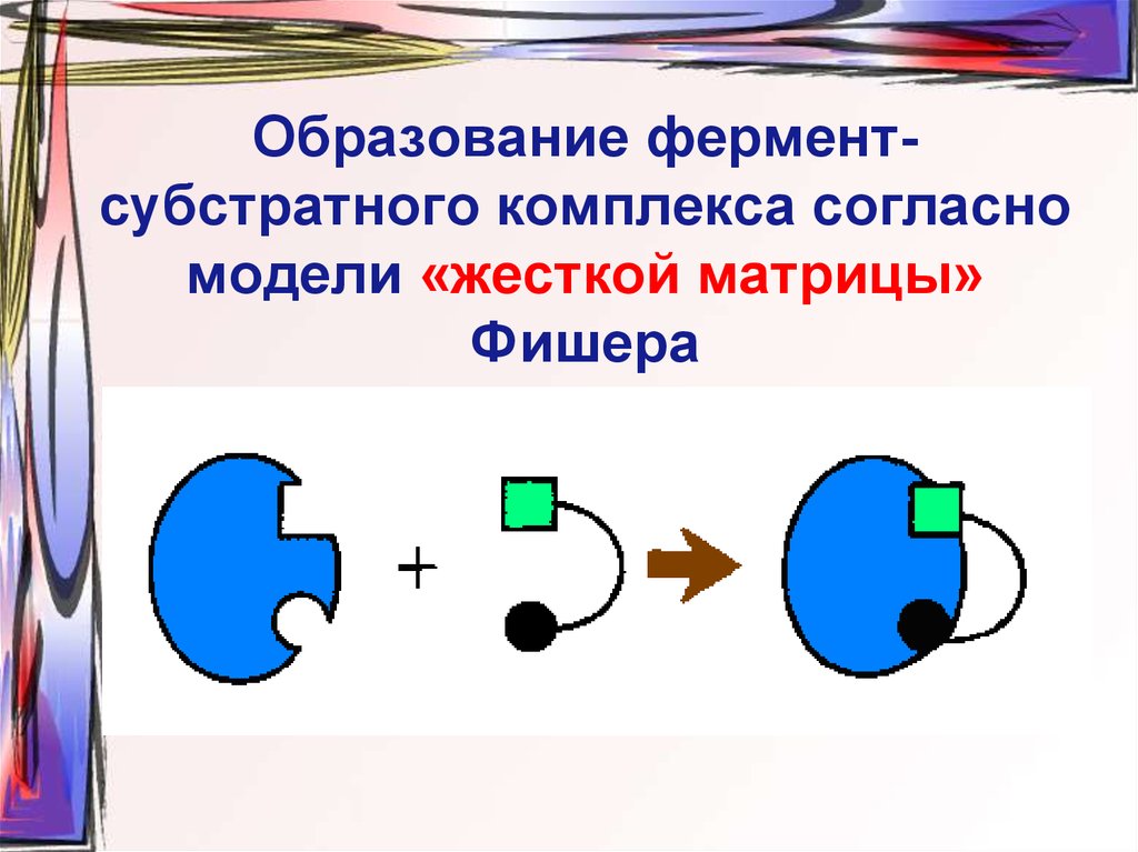 Схема работы фермента