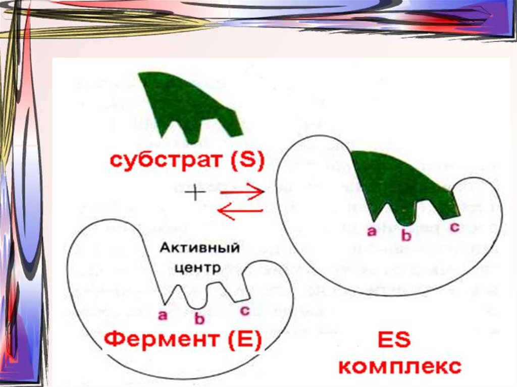 Молекула фермента