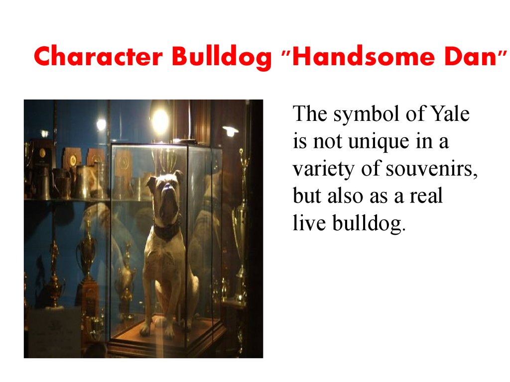Character Bulldog "Handsome Dan"