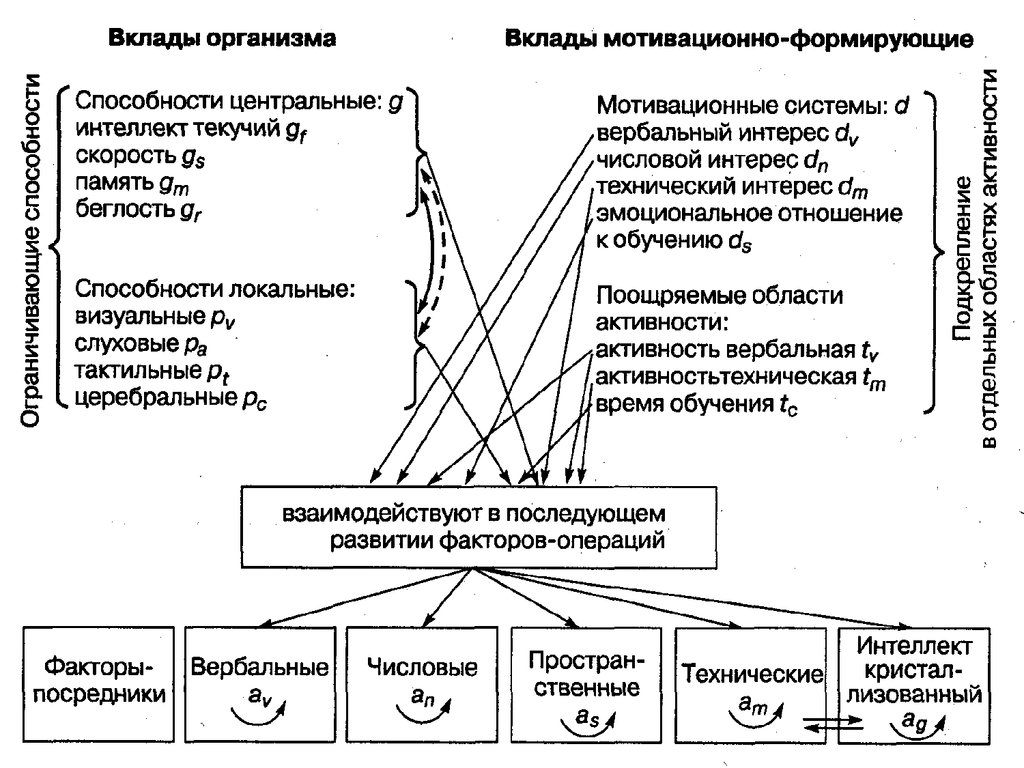 Свободный интеллект кеттелла. Модель интеллекта по Кеттеллу. Кеттел теория интеллекта. Модель интеллекта р. б. Кэттелла. Структура интеллекта Кеттелла.