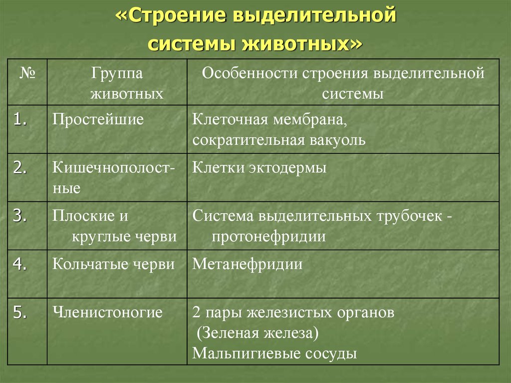 Используя рисунок 18 заполните в тетради таблицу основные системы органов многоклеточных животных