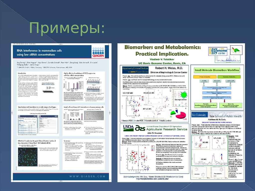 Как оформить доклад для конференции образец