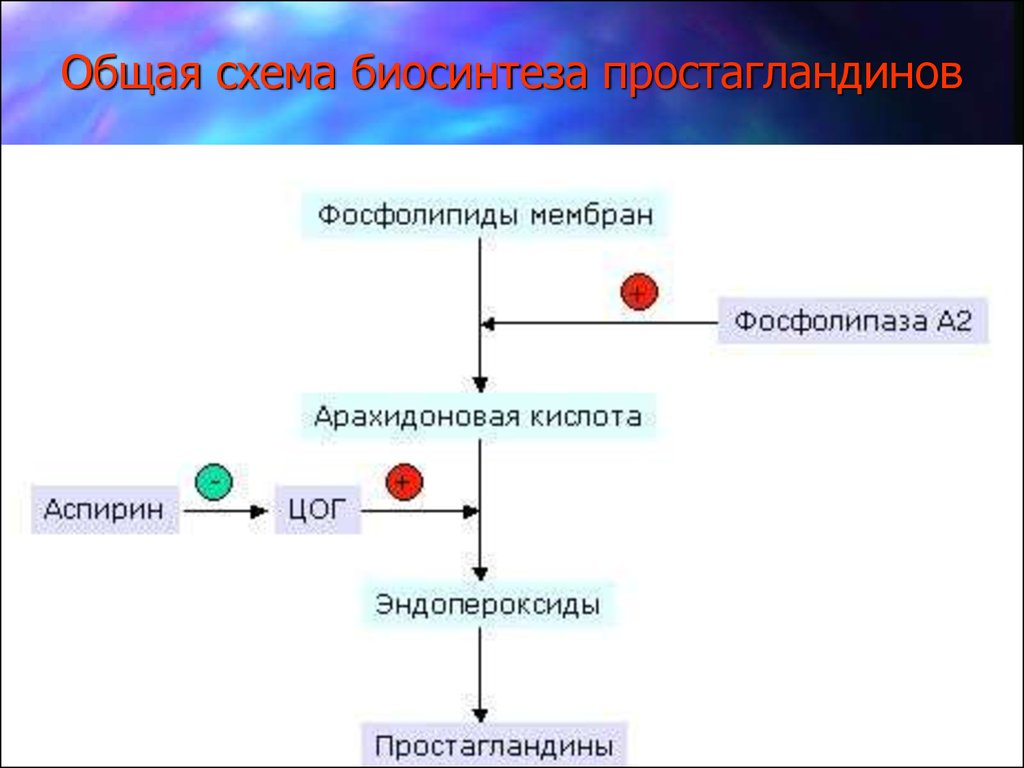 Простагландины схема синтеза