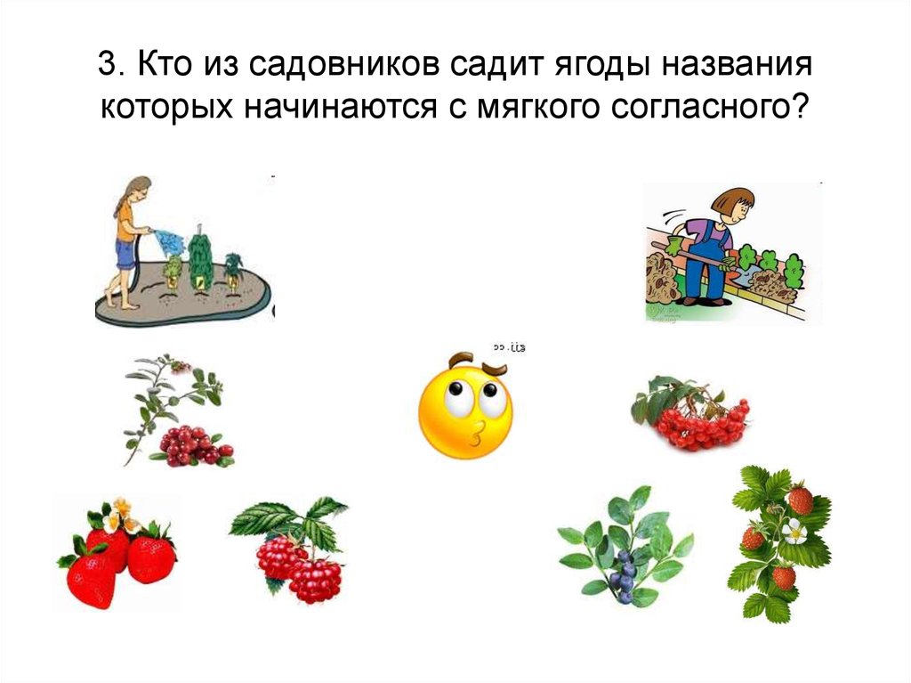 3. Кто из садовников садит ягоды названия которых начинаются с мягкого согласного?