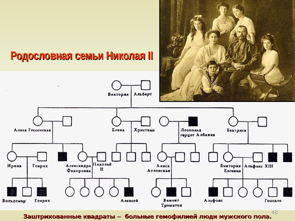 Отпрыск рода орловых том 5. Родословная семьи Николая 2. Семейное Древо царской семьи Романовых.