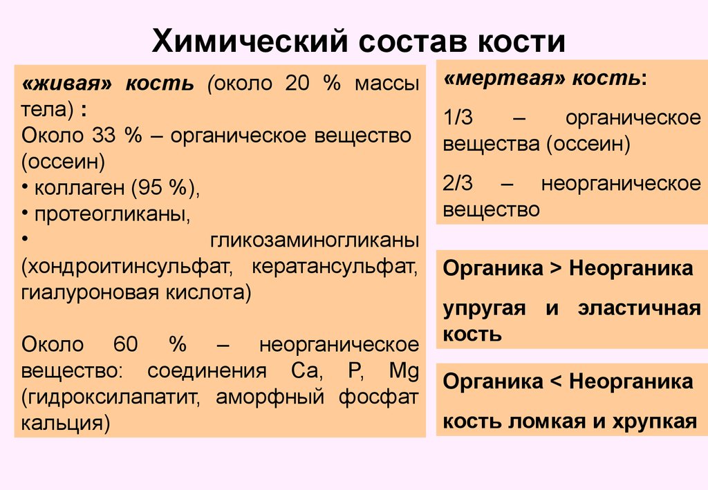 Химический состав костей. Химический состав костей человека таблица. Неорганические вещества кости. Химический состав кости органические и неорганические вещества.