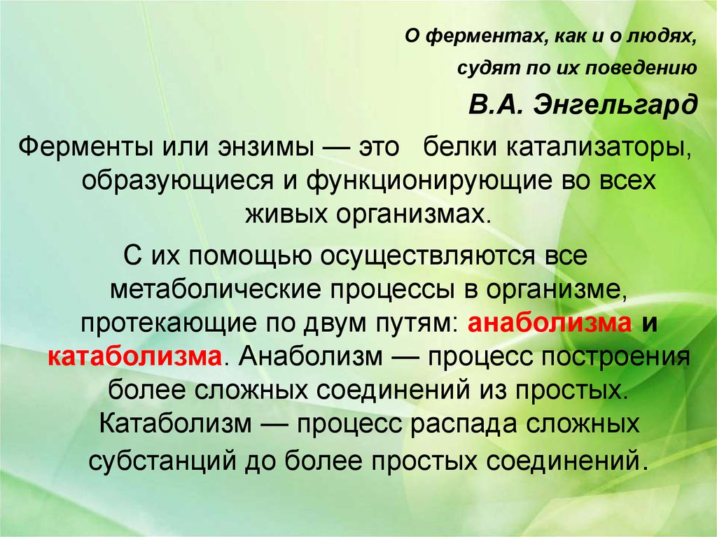 Энзимы это. Ферменты это. Загадки про ферменты. Павлов и ферменты. Стихи про ферменты.