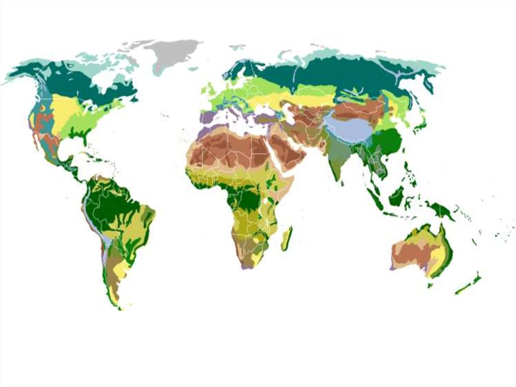 Карта природных зон планеты