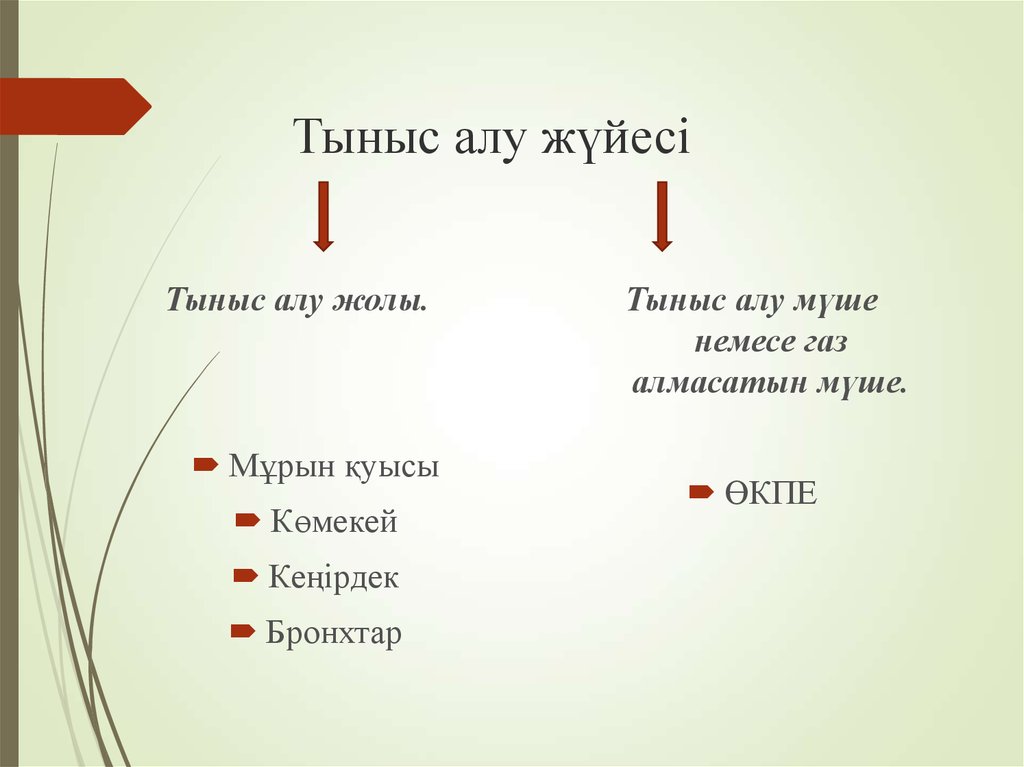 Тыныс белгілері презентация