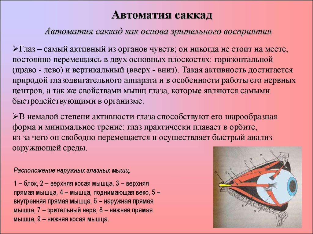 Анализ окружающих