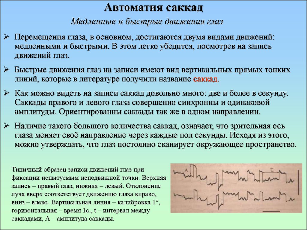 Увидеть записать. Саккады. Саккадических движений глаз. Саккады и фиксации. Саккады физиология.