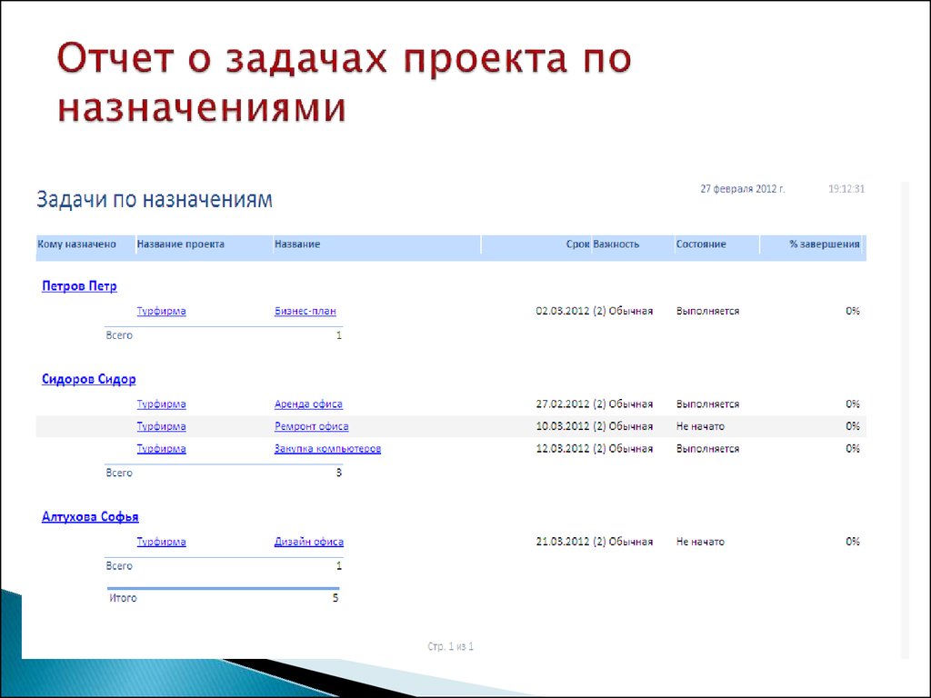 Отчет о проекте презентация