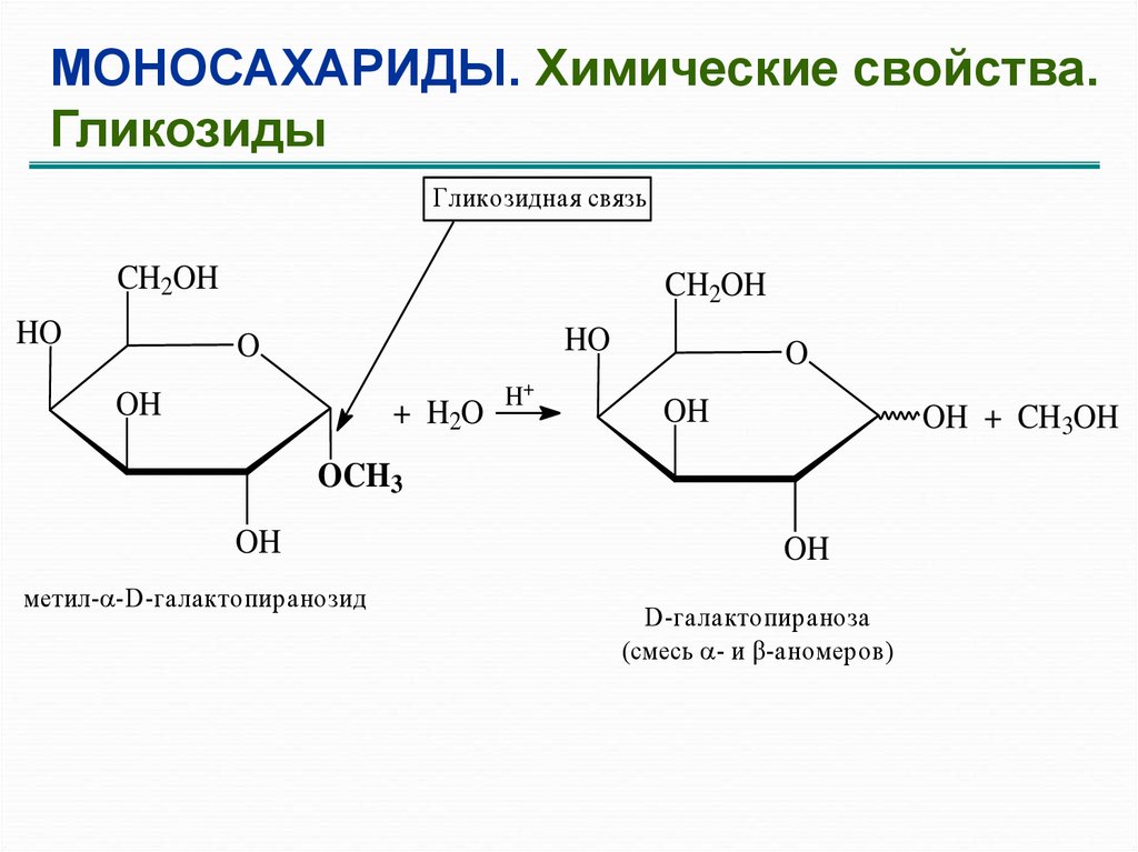 1 1 гликозидной связью. Альфа метил д галактопиранозид. Химические свойства гликозидов. Химические свойства моносахаридов гликозиды. Метил--d-галактопиранозида.