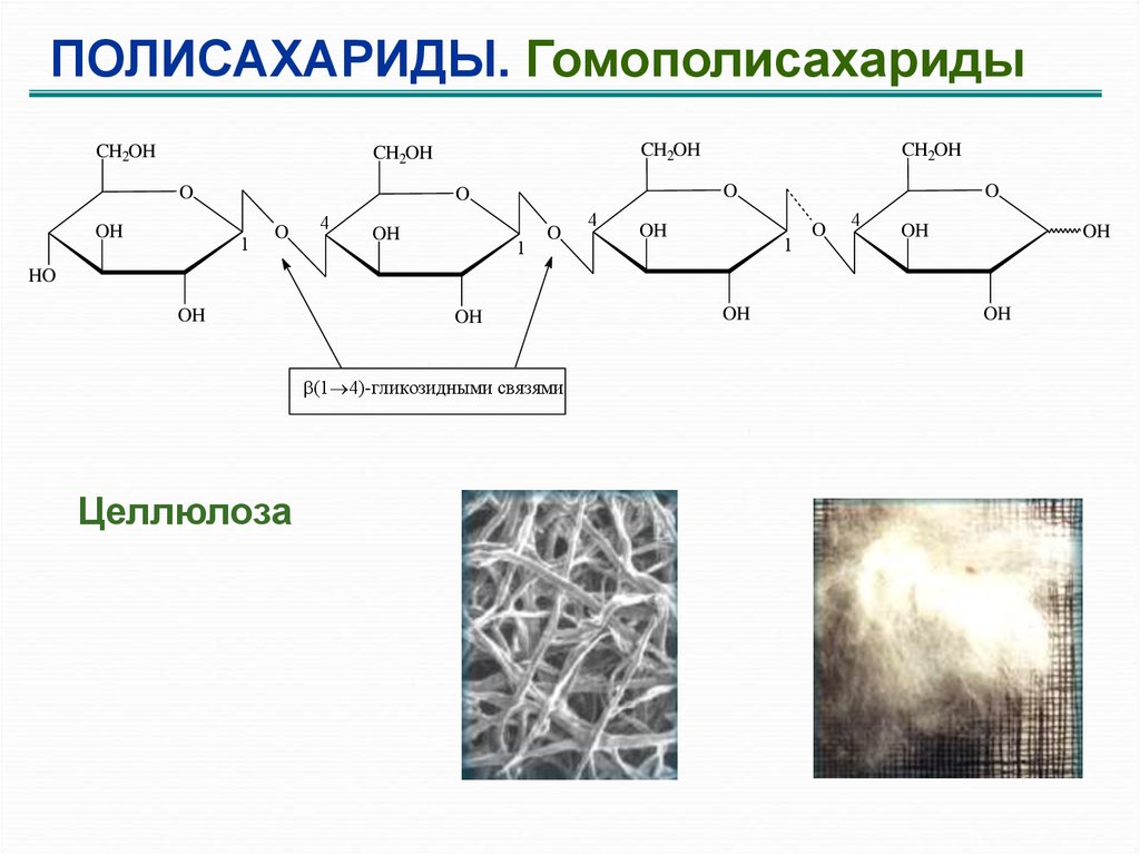 Целлюлоза связи. Полисахариды крахмал гликоген Целлюлоза. Полисахариды гомополисахариды. Целлюлоза полисахарид. Полисахариды формула.