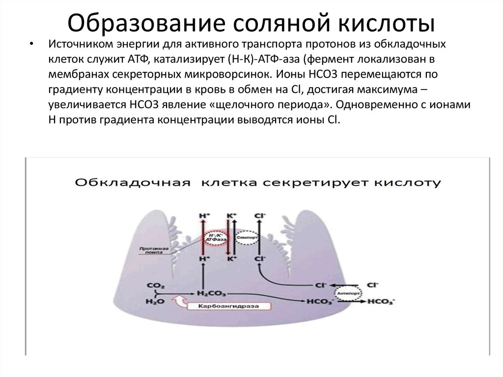 Выделение соляной кислоты