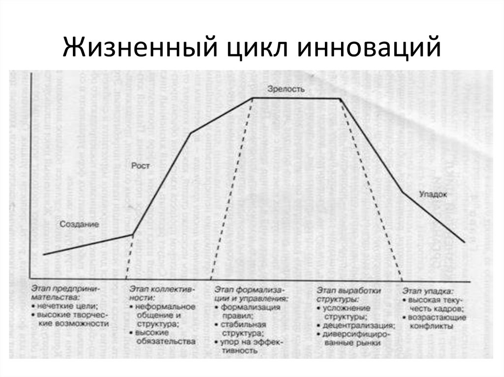 10 жизненный цикл