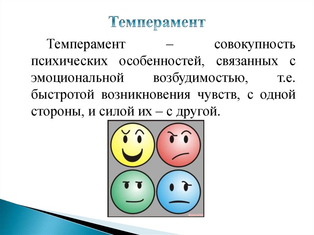 Психология темперамента презентация