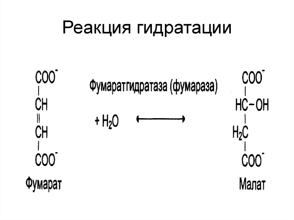 Реакция гидратации называют реакции. Фумарат в малат реакция. Гидратация примеры. Реакция с фумаразой. Реакция гидратации примеры.