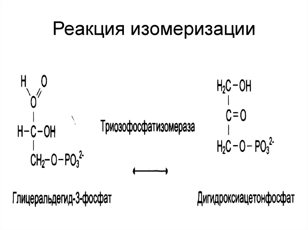 Реакция 30. Реакция изомеризации с дезоксиаденозилкобаламин. Изомеризация кофермент. Изомеризация олефинов реакция. Реакции изомеризации витамина в12.