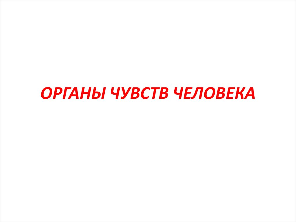 Презентация органы чувств 8 класс. Органы чувств.