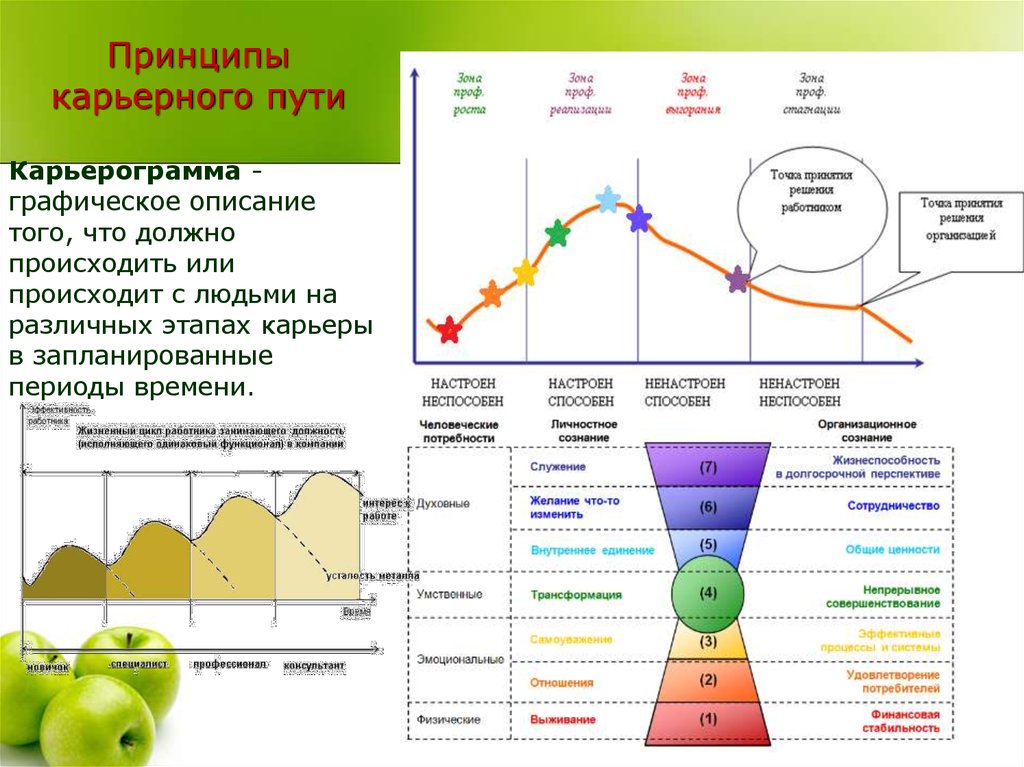 Карьерный план пример