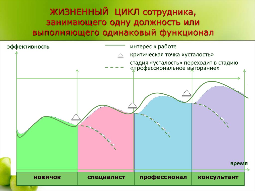 Вывод жизненных циклов. Этапы жизненного цикла сотрудника. Жизненный цикл сотрудника в организации. Стадии жизненного цикла работника в организации. Жизненный цикл сотрудника в должности.