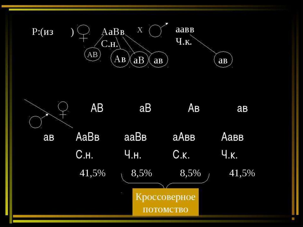 Схема aabb x aabb