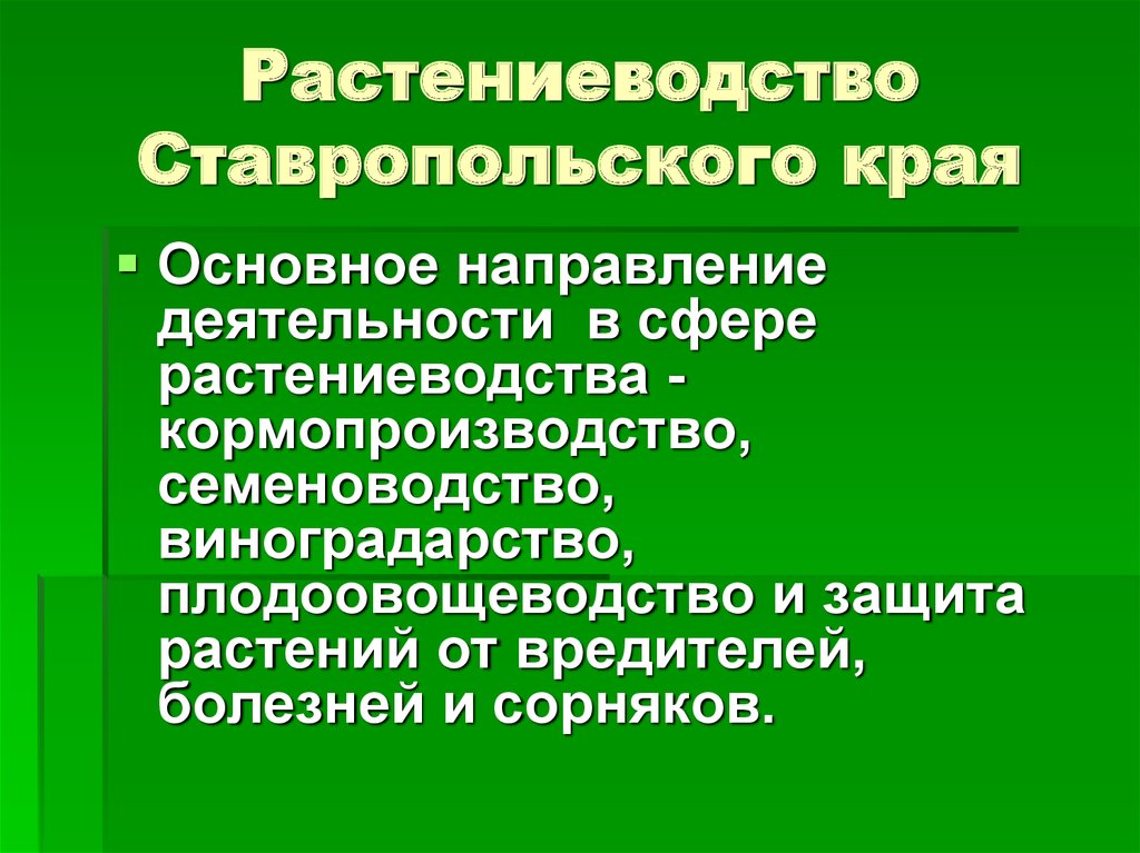 Творческий проект растениеводство