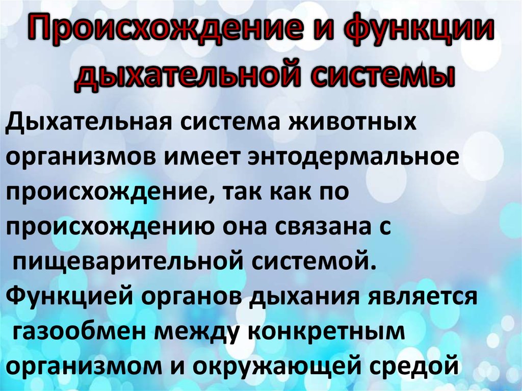 3 функции дыхания. Функции дыхательной системы животного. Энтодермальное происхождение дыхательной системы. Появление органов дыхания. Происхождении функции.