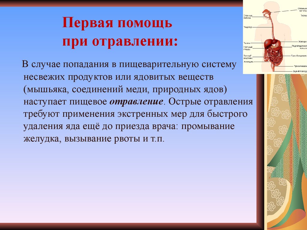 Какая роль пищеварения. Травмы пищеварительной системы. При пищеварительных отравлениях. Пищеварительное отравление первая помощь. Первая помощь система пищеварения.