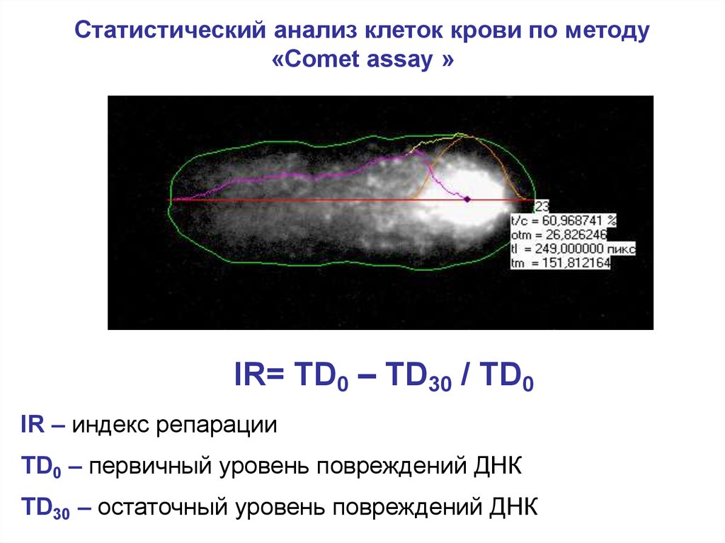 Анализ клетки. Метод ДНК комет методика. Этапы метода ДНК комет. Метод ДНК комет уровень повреждения. Метод ДНК комет презентация.