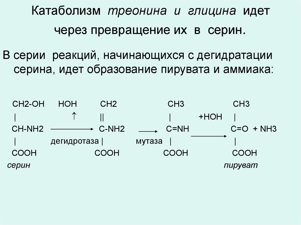 Напишите реакцию глицина. Реакция взаимопревращения Серина и глицина. Катаболизм Серина биохимия. Схема превращений цистеина и глицина. Синтез Серина из треонина.