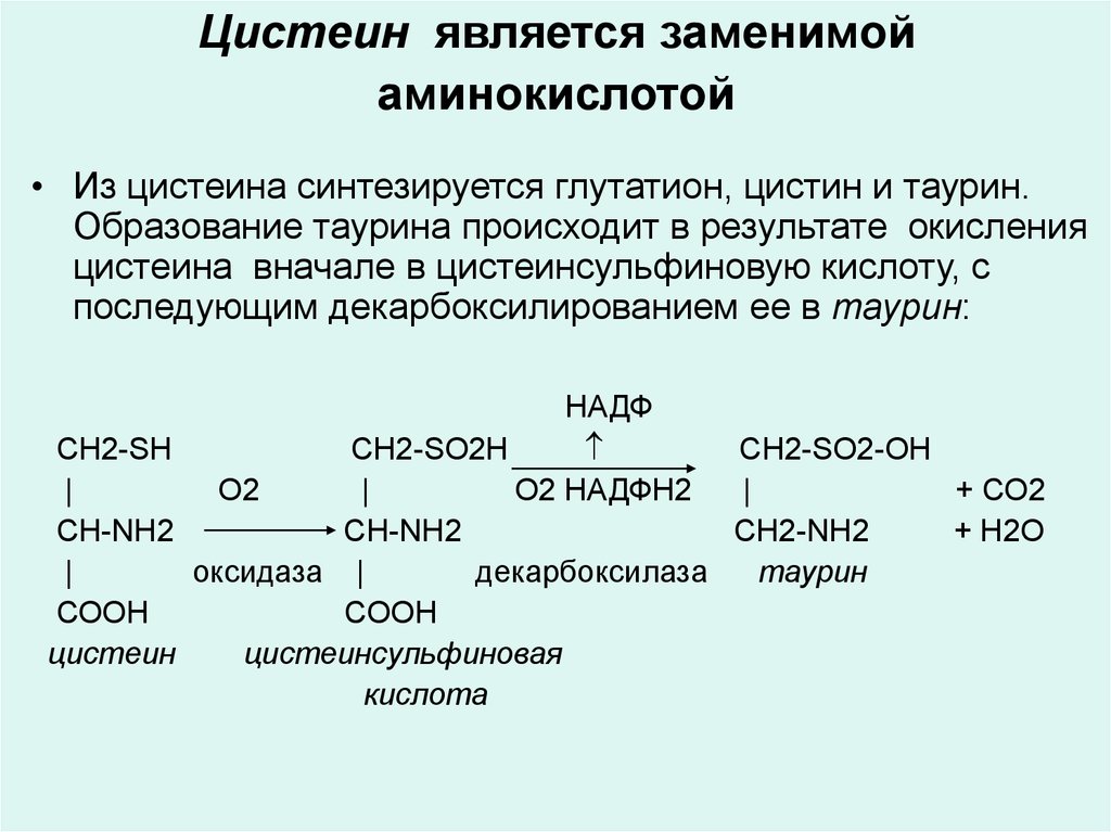 Аминокислота образуется в процессе. Синтез таурина из цистеина. Мягкое окисление аминокислоты цистеина. Глутатион Синтез из цистеина. Образование цистина из цистеина реакция.