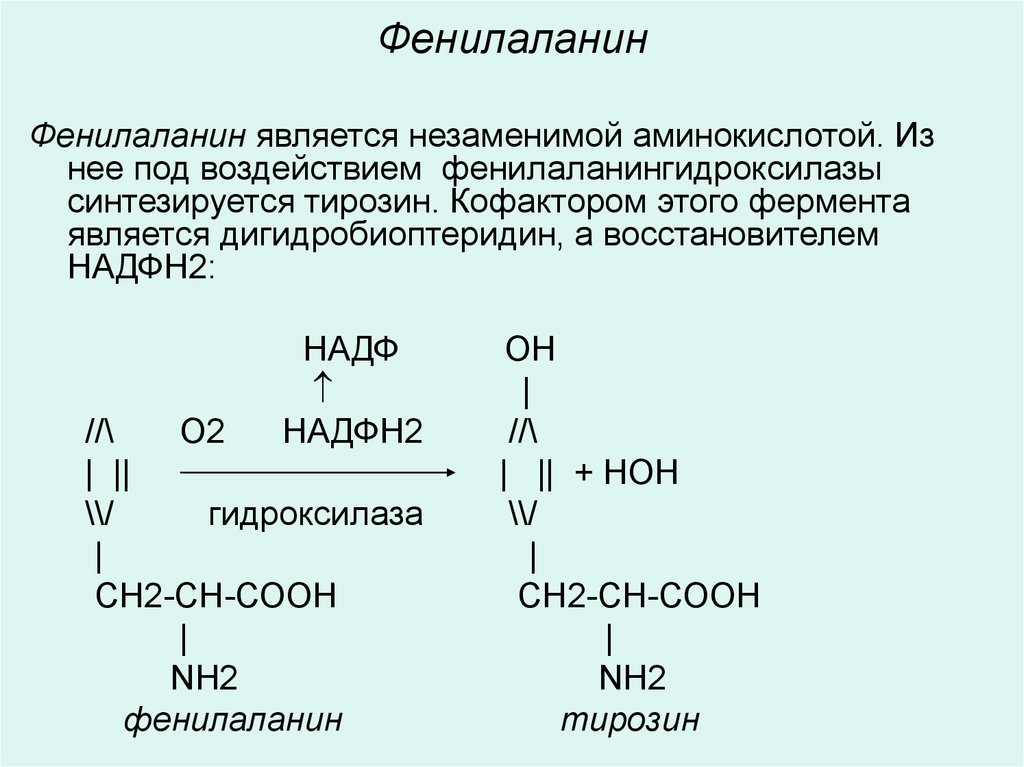 Ферменты фенилаланина. Фенилаланин Фенилаланингидроксилаза тирозин. Фенилаланингидроксилазы формула. Фенилаланин НАДФН+Н+ о2 тирозин НАДФ н20. Фенилаланин аминокислота формула.